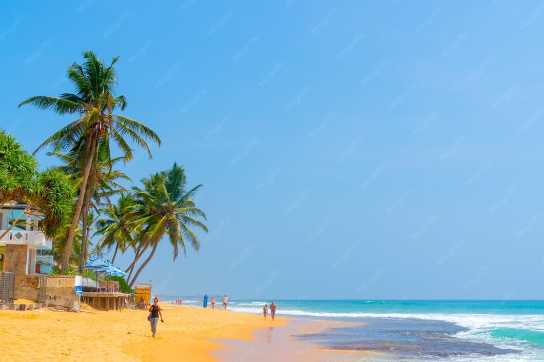 Paysage du pays