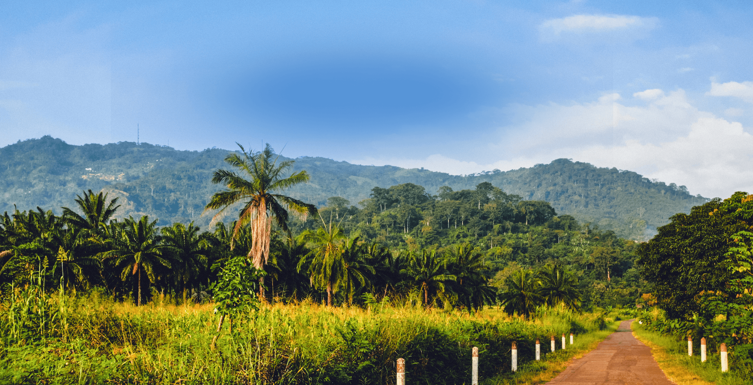 Paysage du pays