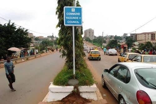 Contributions aux campagnes de reboisement urbain