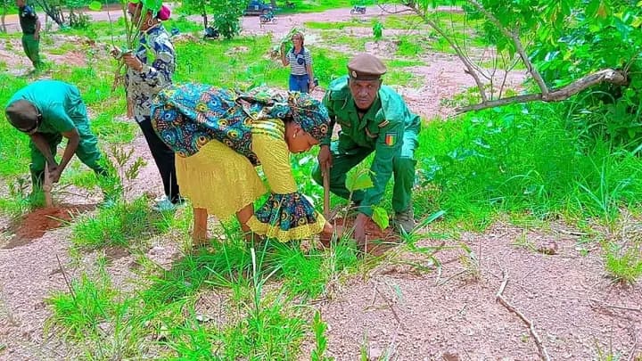 Contributions aux campagnes de reboisement urbain