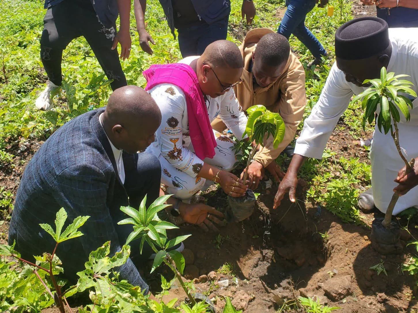 Contributions aux campagnes de reboisement urbain