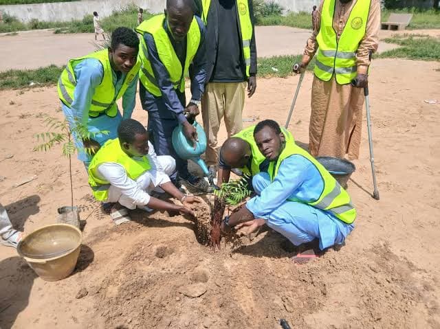 Contributions aux campagnes de reboisement urbain