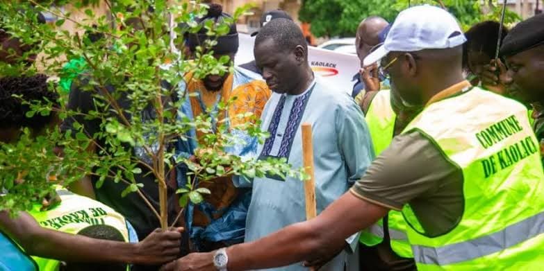 Contributions aux campagnes de reboisement urbain